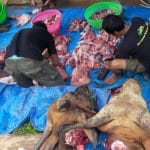 Relawan ASR Salurkan Daging Kurban kepada Masyarakat Lambuya