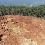 PT Antam Diduga Jadi Dalang Perambahan Kawasan Hutan di Blok Mandiodo