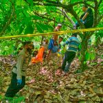 Seorang Warga di Kolaka Utara Ditemukan Tewas Gantung Diri di Kebun Cokelat