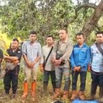 Polda Sultra Beberkan Tindak Pidana yang Dilakukan Tiga Warga Wawonii