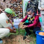 Rayakan HUT Pemuda Panca Marga, Wali Kota Kendari Tanaman Pohon MAN Insan Cindekia