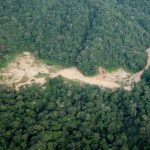 PT Arvema Diduga Menambang dalam Kawasan Hutan Tanpa IPPKH