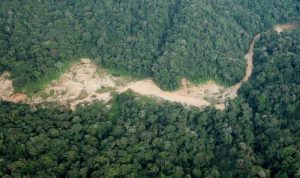 ilutrasi tambang liar