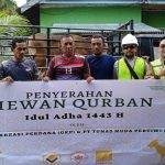 PT GKP Salurkan 10 Sapi Kurban kepada Masyarakat Lingkar Tambang