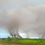 Petaka Debu Batu Bara PT OSS Cemari Pemukiman Kecamatan Motui