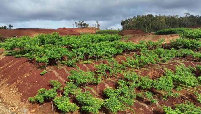 PT GKP dan Pemerintah Pastikan Kewajiban Lingkungan di Wawonii Tetap Dipenuhi