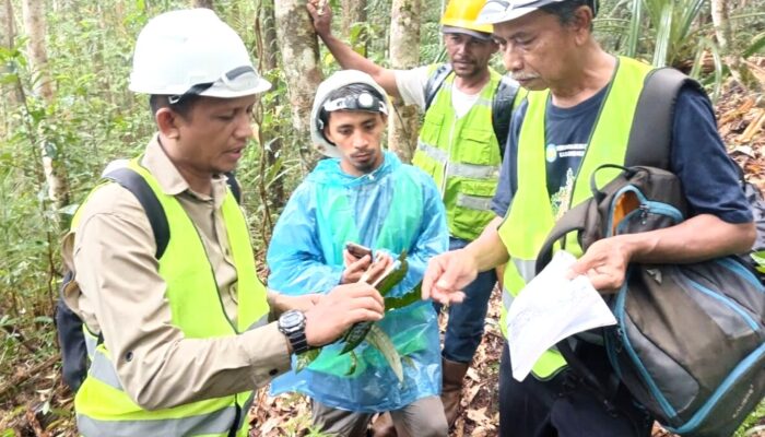 Membaca Wawonii Lewat Catatan Tiga Tahun Riset Biodiversitas