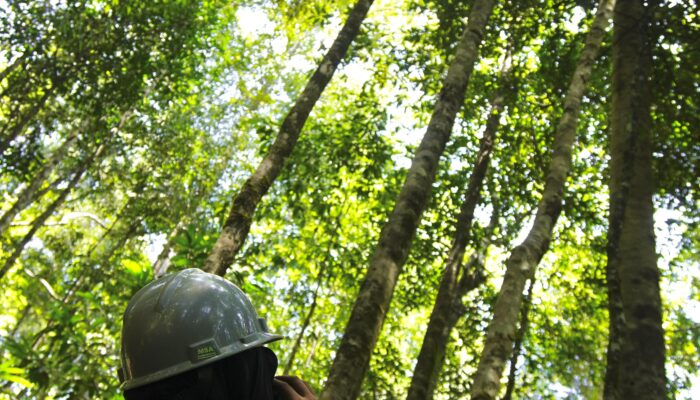 Kolaborasi Lintas Pihak, Biodiversitas Wawonii Tetap Terjaga