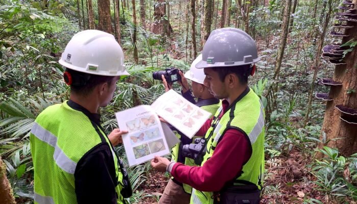 Lewat Program Biodiversitas PT GKP, Peneliti Ungkap Spesies Baru di Pulau Wawonii