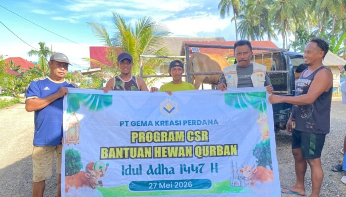 Momentum Idul Adha, PT GKP Tebar 19 Ekor Kurban untuk Perkuat Perekonomian Lokal